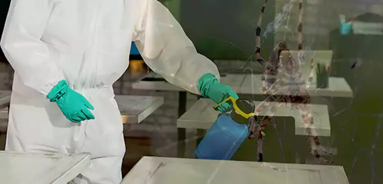 Why Buyers Still Want Homes With Pest Infestations in Joliet, IL?