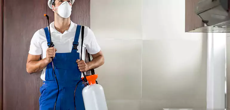 Why Joliet Homeowners Choose Us When Pests Make Selling Difficult