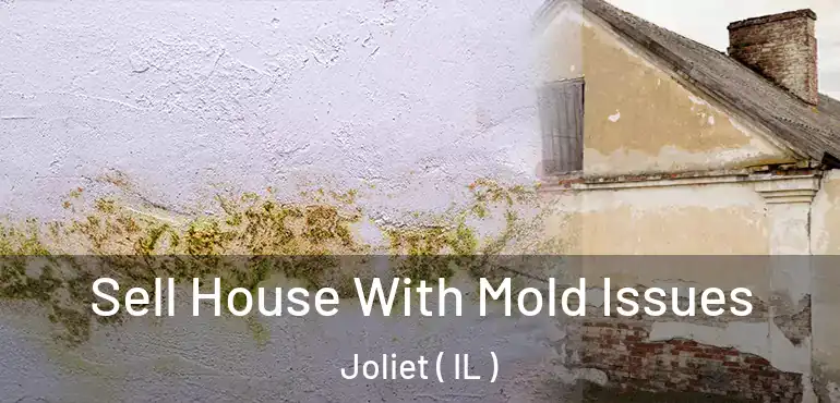  Sell House With Mold Issues Joliet ( IL )
